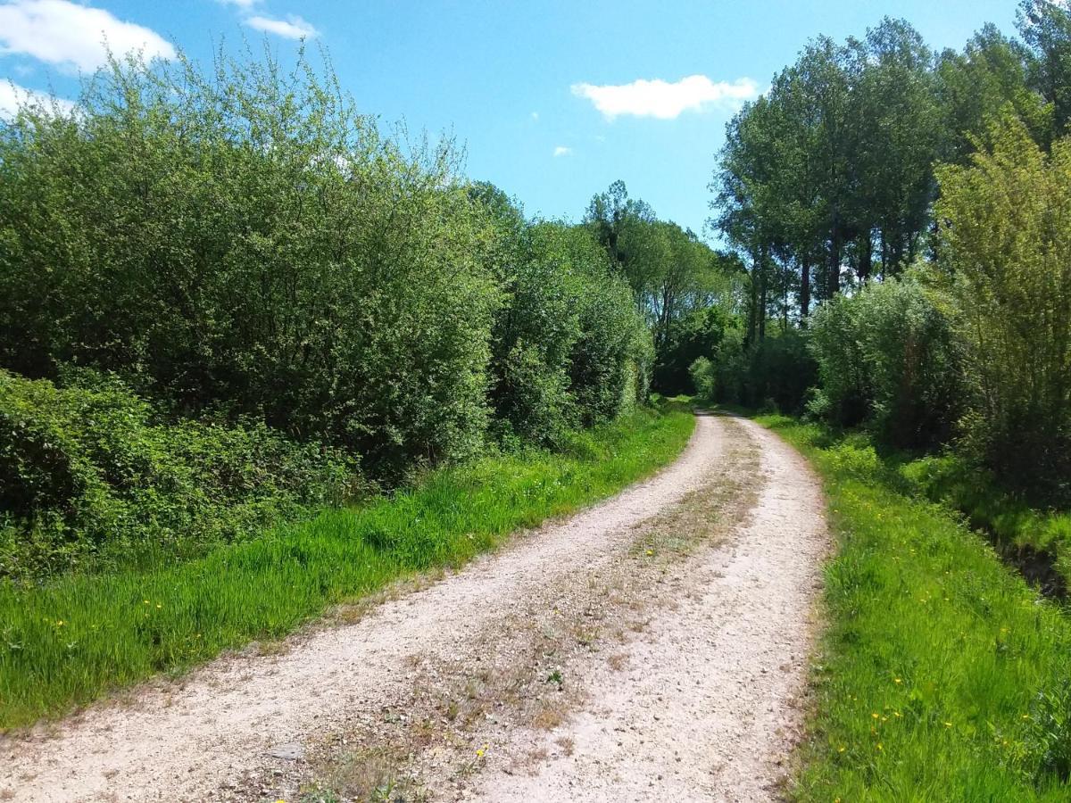 Petite Maison Normande Bellou-en-Houlme المظهر الخارجي الصورة